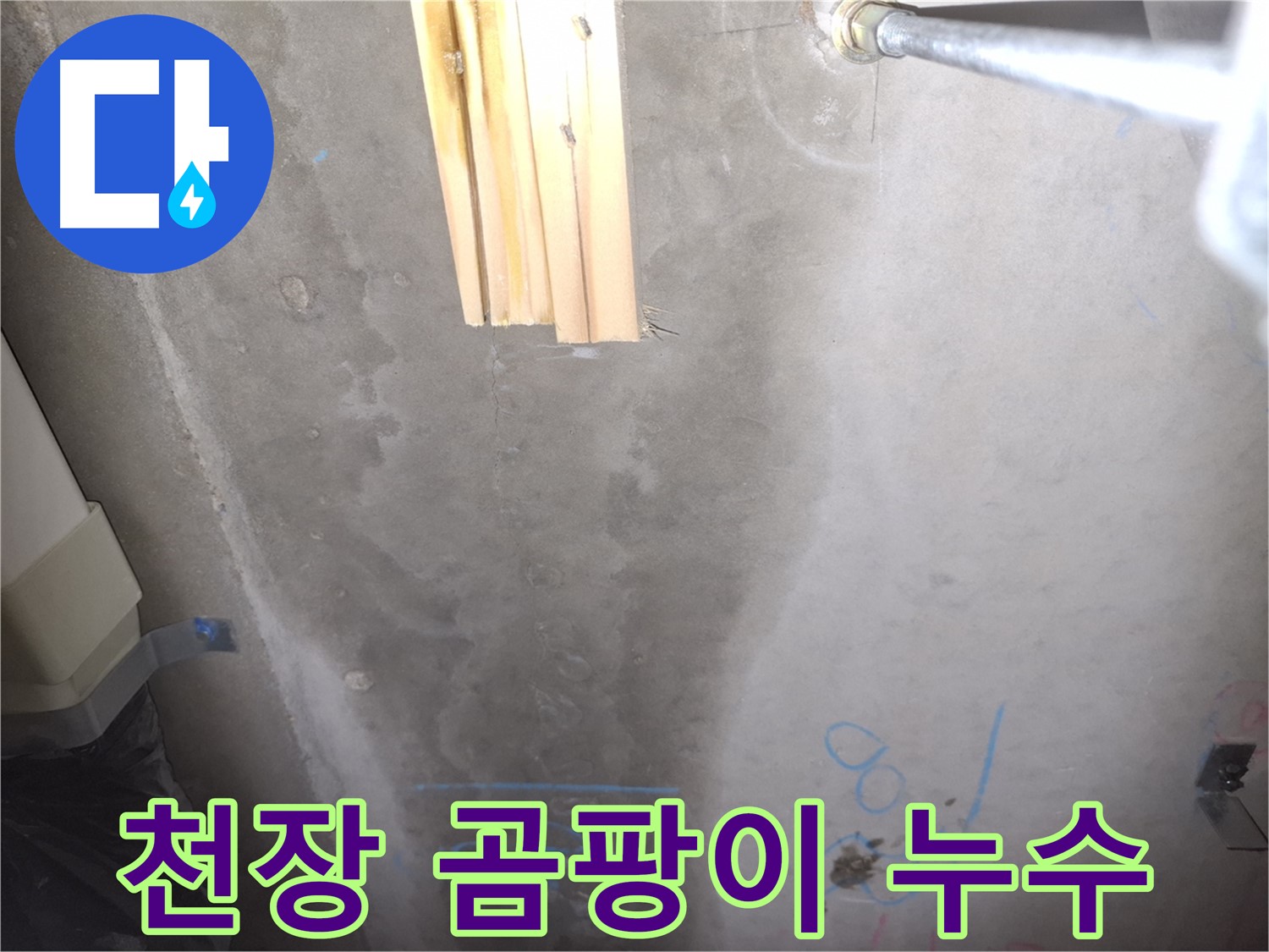 콘크리트 천장 누수 - 곰팡이