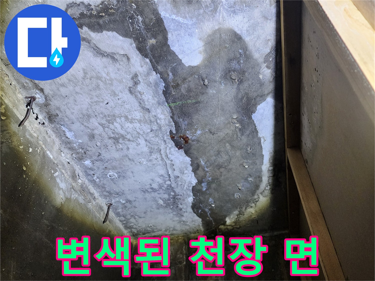 누수로 인해 습기가 침투한 콘크리트 천장 구조