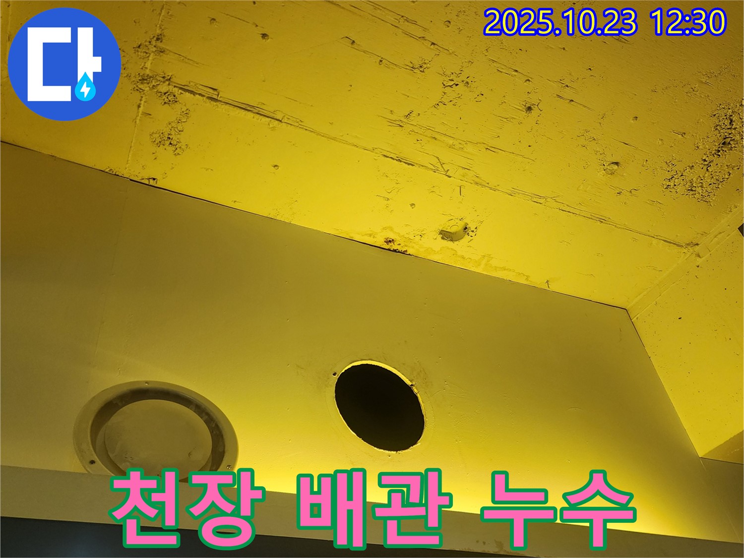 양주시 은현면 하패리 천장 누수 - 배관 누수 의심되는 천장 구멍 주변 점검