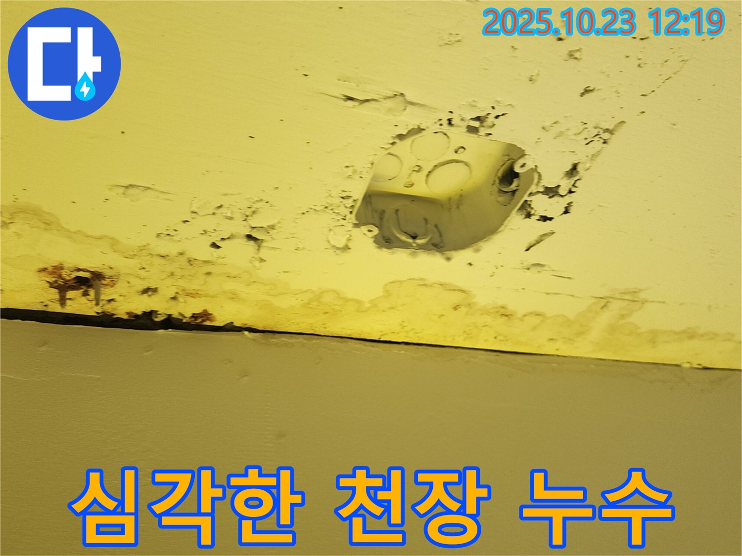 양주시 은현면 하패리 천장 누수 현장 - 심각하게 손상된 천장과 누수 자국