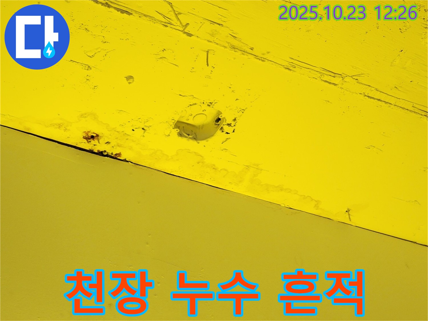 양주시 은현면 하패리 천장 - 누수로 인해 페인트가 벗겨진 천장의 모습입니다 - 누수의 심각성을 보여줍니다.