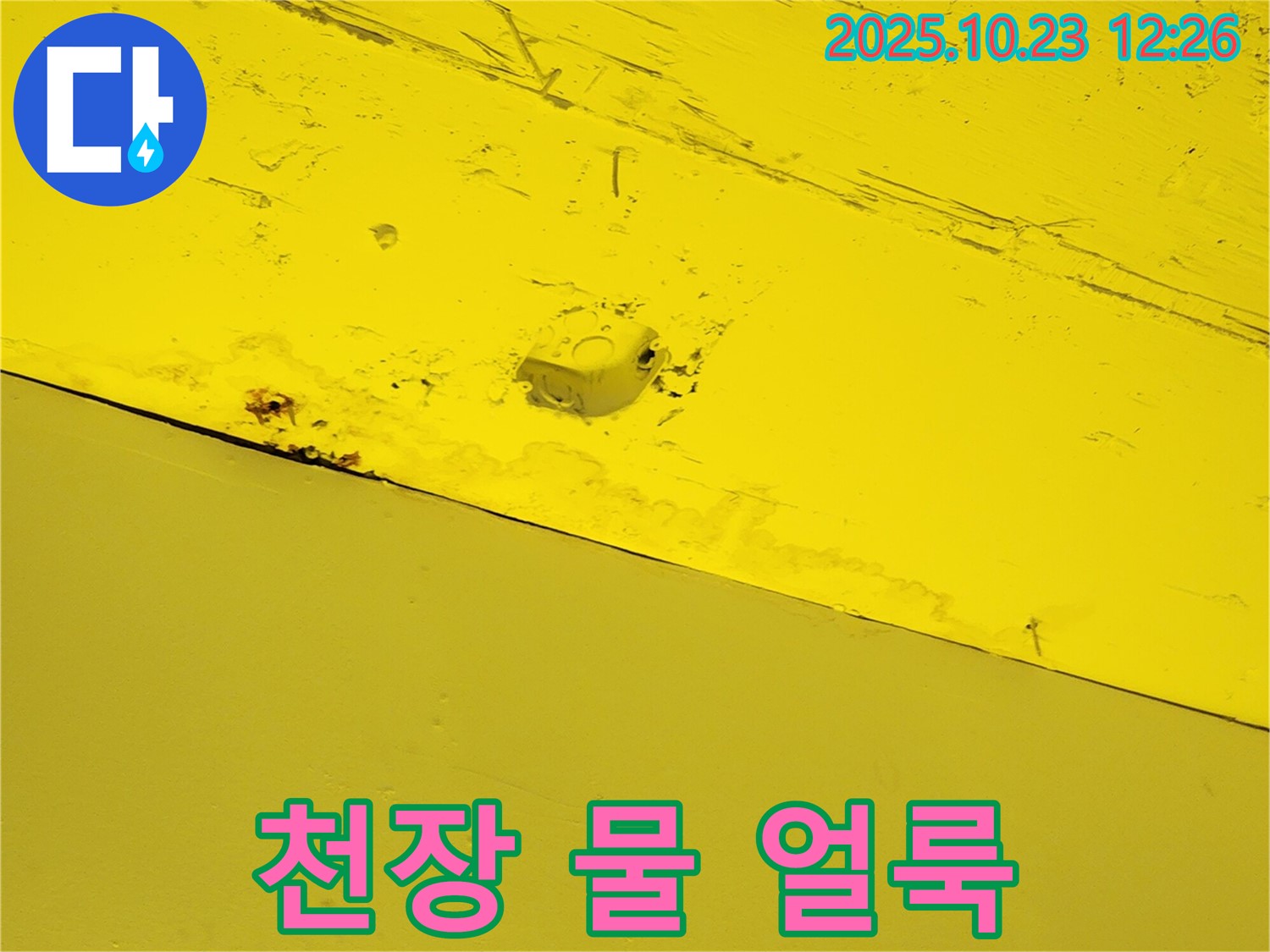 양주시 은현면 하패리 천장 - 초기 누수 징후인 천장의 물 얼룩을 보여줍니다 - 빠른 점검이 중요합니다.