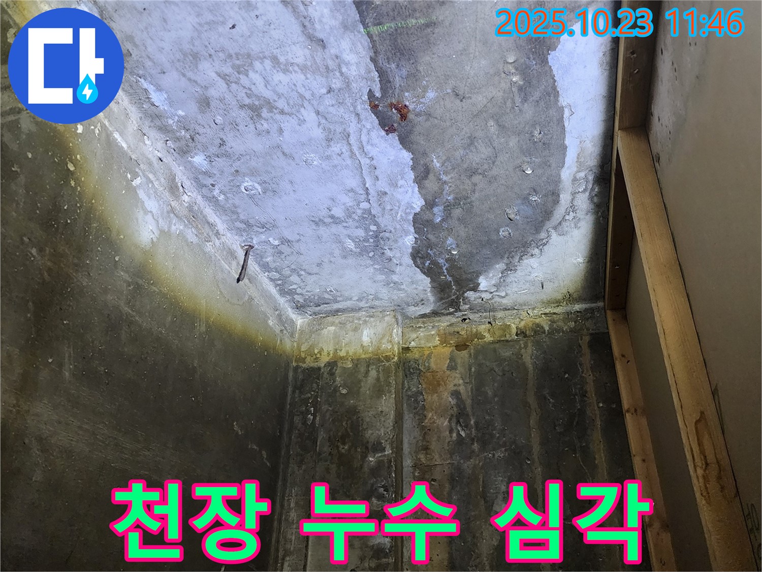 양주시 하패리 천장 누수 현장 - 심각한 누수 상황을 확인하고 확실한 해결을 약속