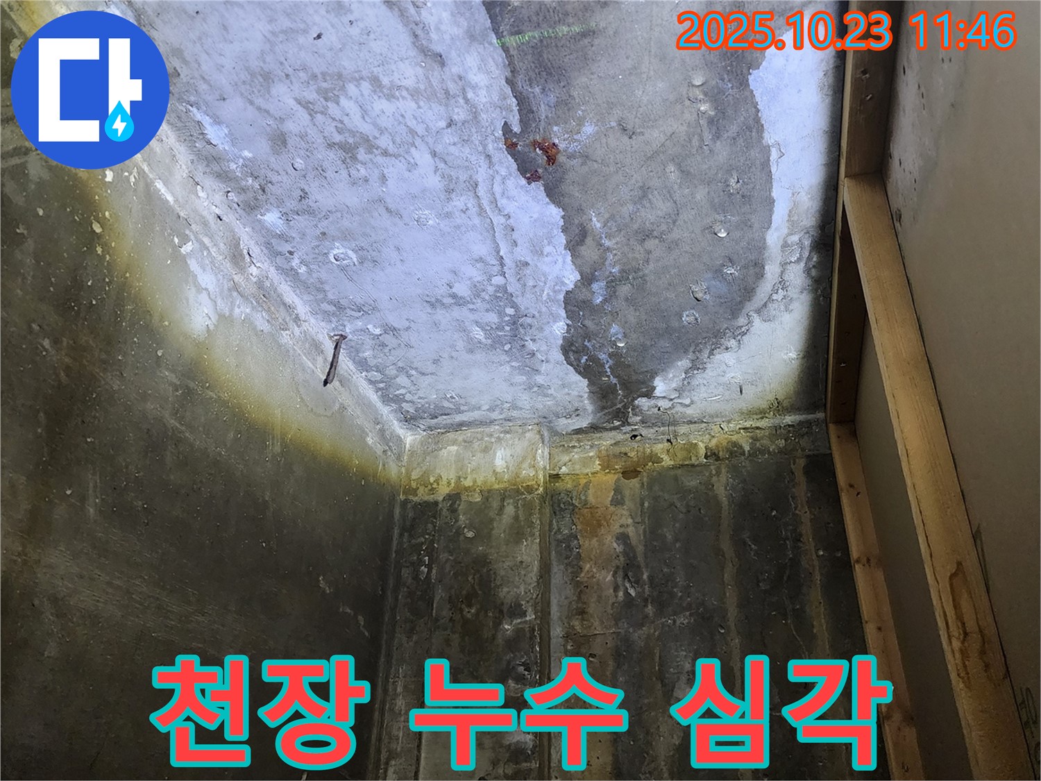양주시 하패리 천장 누수 현장 - 심각한 누수 상황을 확인하고 확실한 해결을 약속