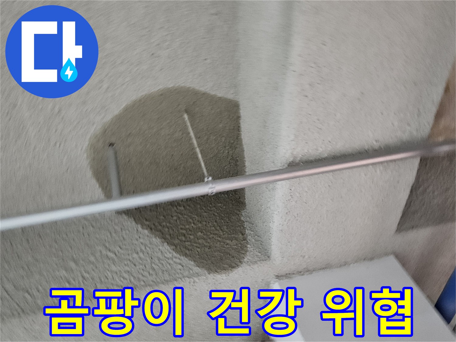 고양동 천장 곰팡이 - 건강 위협 - 빠른 누수 해결