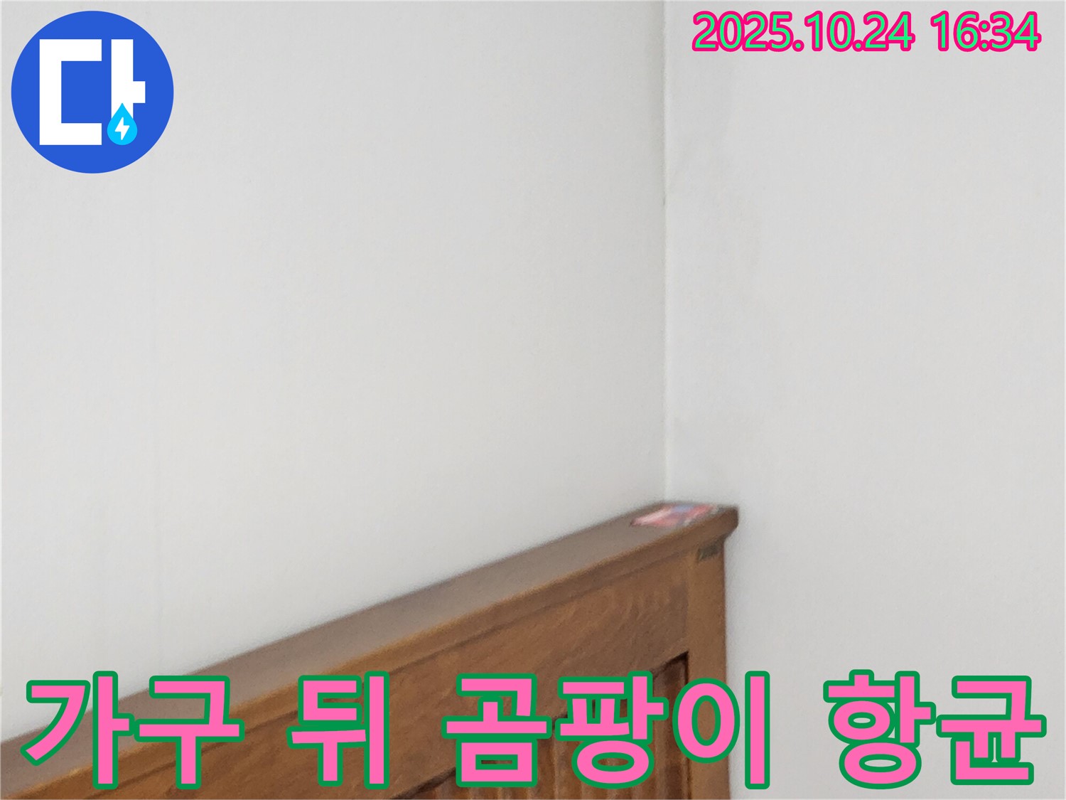 양주 봉우로 누수 현장 - 침대 옆 가구 뒤 벽 곰팡이를 제거하고 항균 시공하는 누수 전문가의 첨단 장비 활용