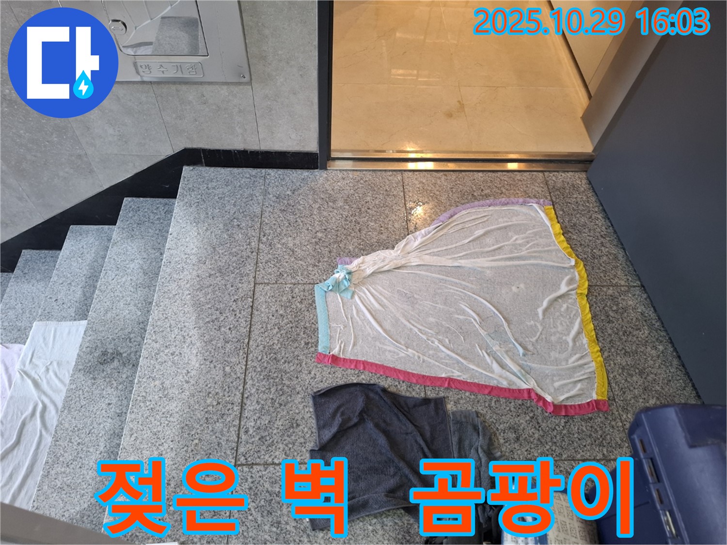 고양시 덕양구 동산동 누수 현장 - 젖은 벽, 곰팡이 발생 가능성