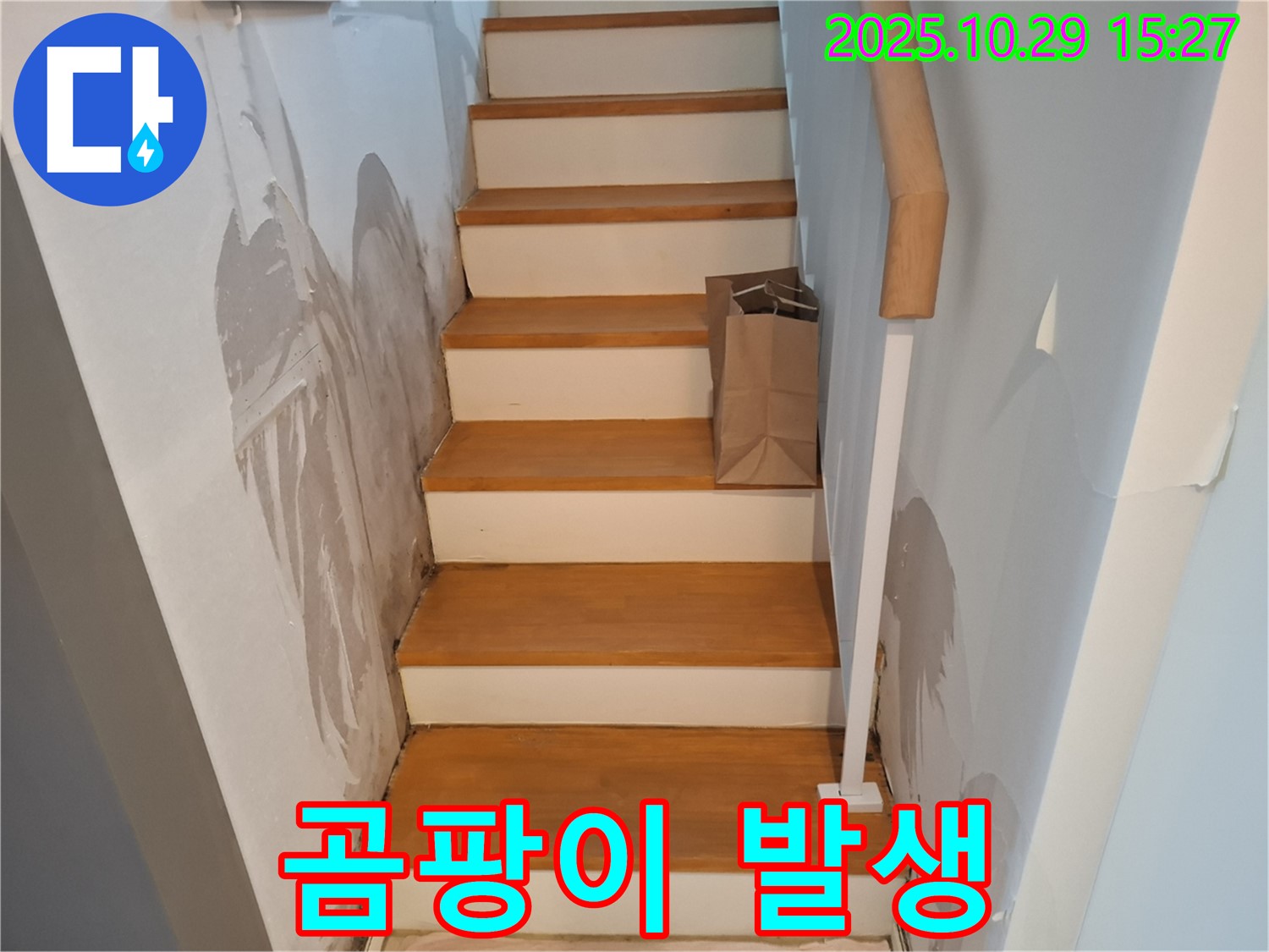 고양시 덕양구 지축동 주택 - 계단 옆 벽에 곰팡이가 발생하여 건강을 위협하고 있습니다.