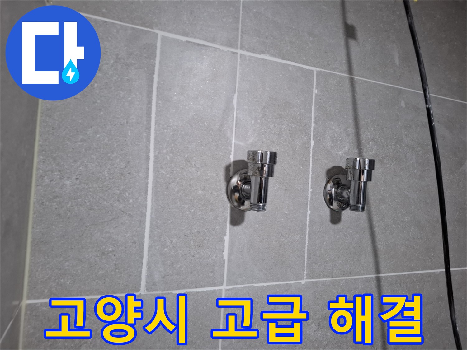 고양시 지축동 누수 - 고급형 2구 수도꼭지 교체로 누수 해결!
