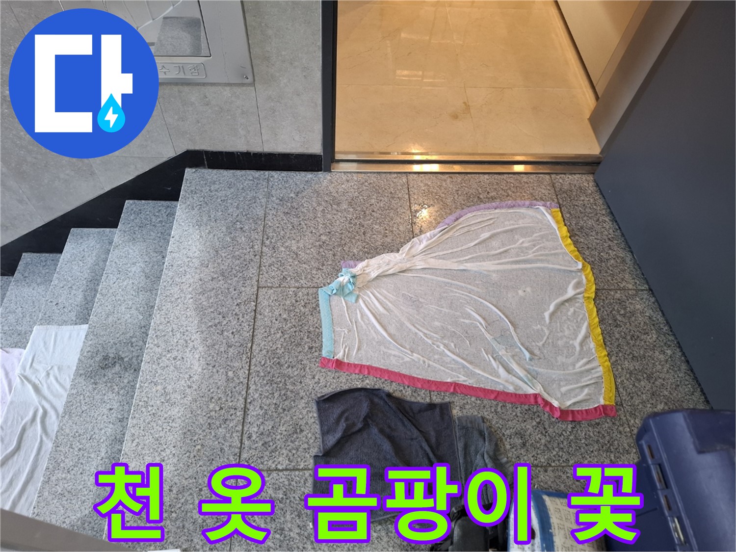 레이스 천과 검정 옷 - 곰팡이 주의!