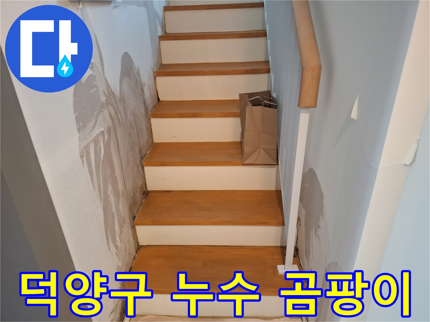 벽 곰팡이 - 숨은 누수 우리가 해결사