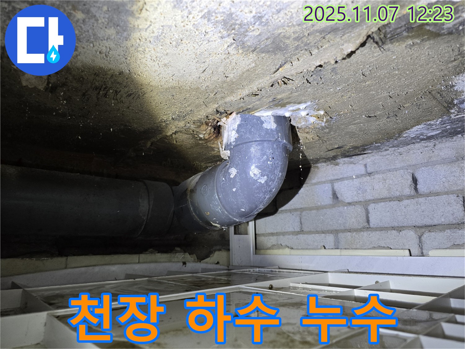 김포시 양촌면 천장 하수 배관 누수 현장 - 배관 연결 부위에서 물이 떨어지는 모습