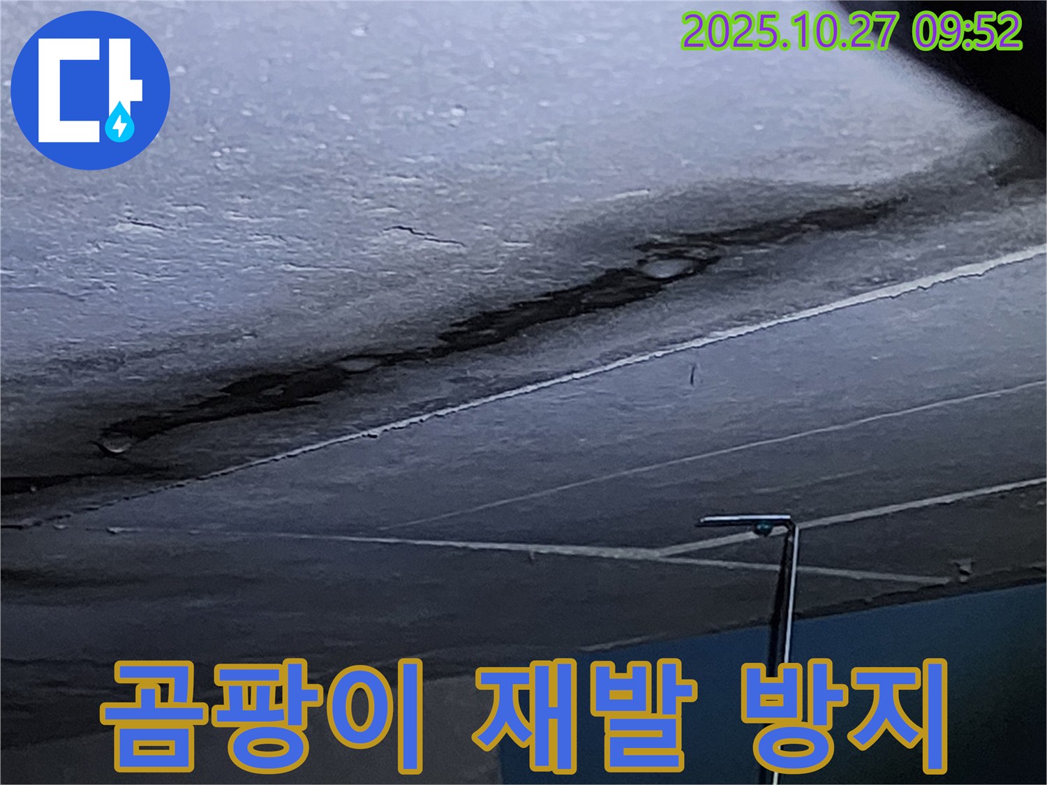 옥정2동 고암동 누수 - 벽 곰팡이 재발 방지, 확실한 시공으로 곰팡이 걱정 끝 - 전문가에게 맡기세요.