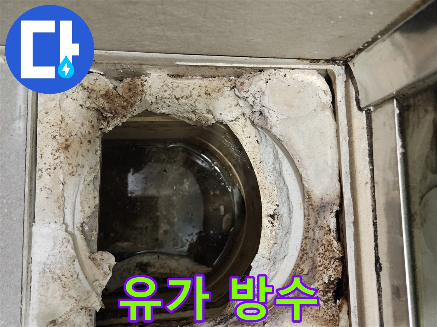 금호동 성동구 욕실 유가 주변 꼼꼼한 방수 시공으로 누수 완벽 차단