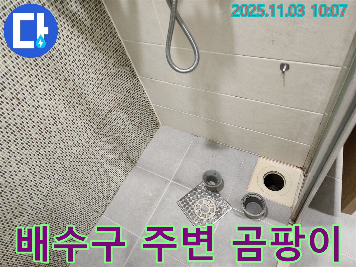 신금호파크자이 욕실 - 배수구 주변에 핀 곰팡이를 통해 누수 가능성을 확인합니다.
