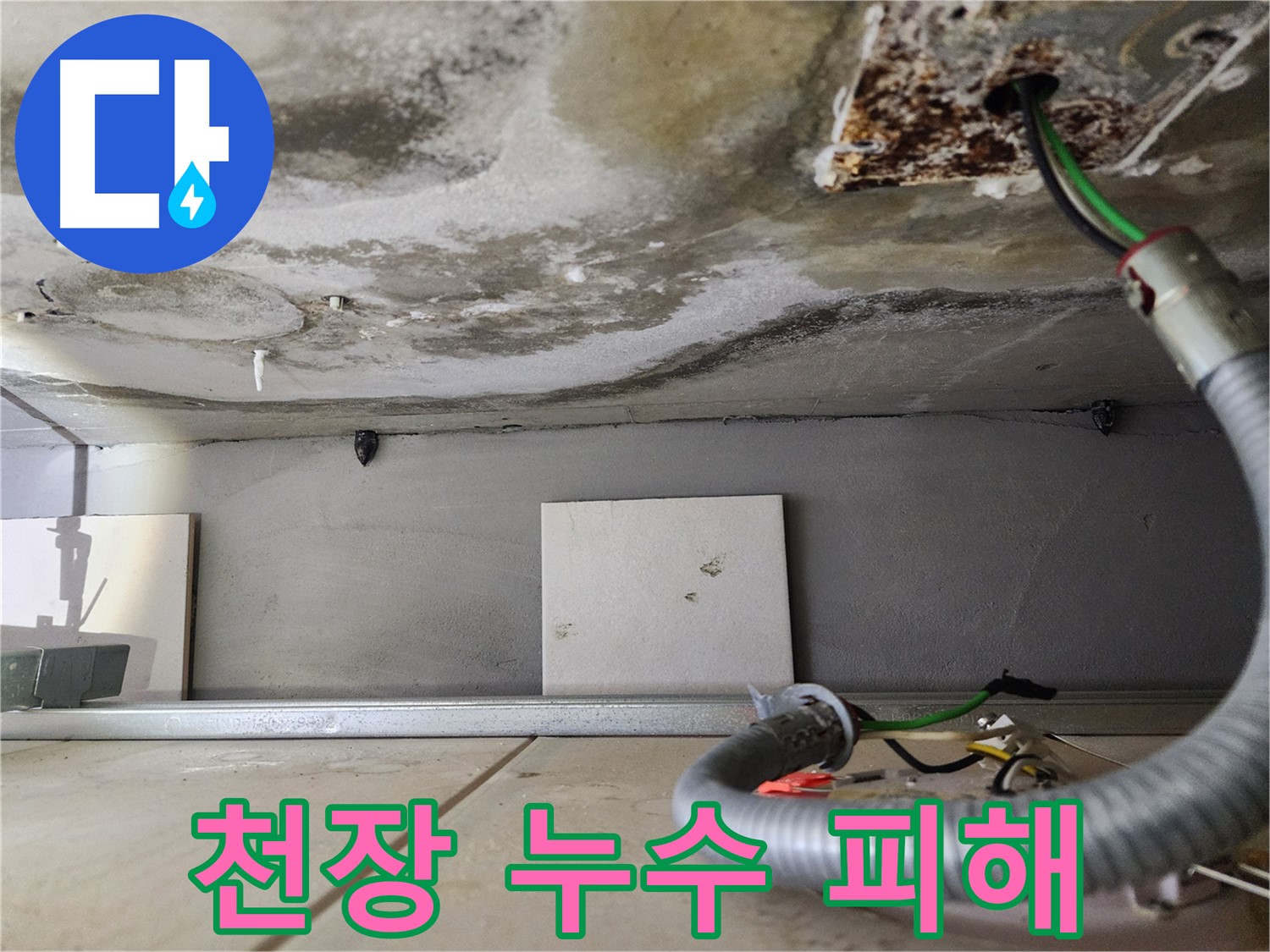 천장 누수 - 곰팡이 심각한 상태