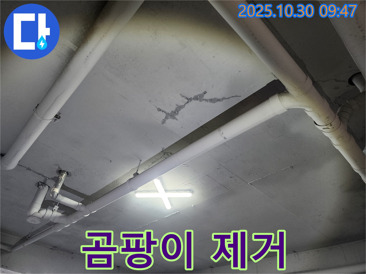파주시 광탄면 기산리 - 건물 천장 누수, 누수 부위 주변 곰팡이 제거 작업을 진행합니다 - 곰팡이는 건강에 해로우므로 깨끗하게 제거해야 합니다.