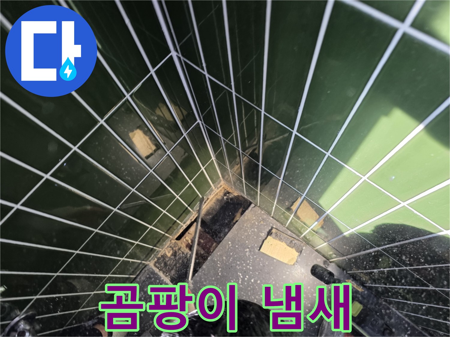광진구 자양동 누수 - 욕조 아래 곰팡이 냄새, 누수 가능성 확인 중