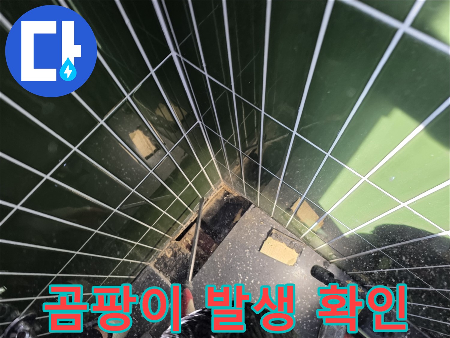 광진구 자양동 누수 - 코너 누수 부위 곰팡이 발생 여부 꼼꼼하게 확인