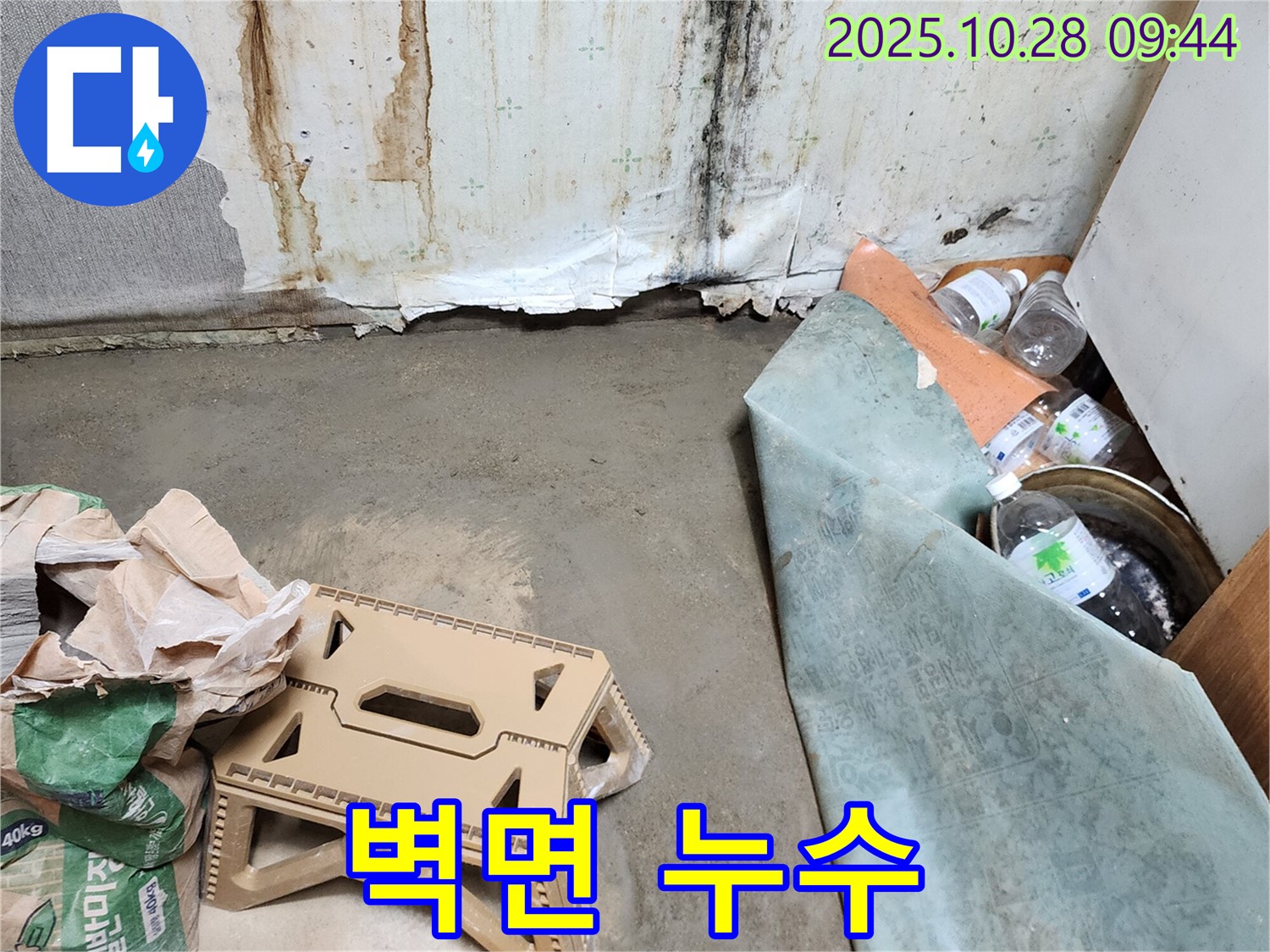 벽면 누수 - 벽지 손상과 곰팡이