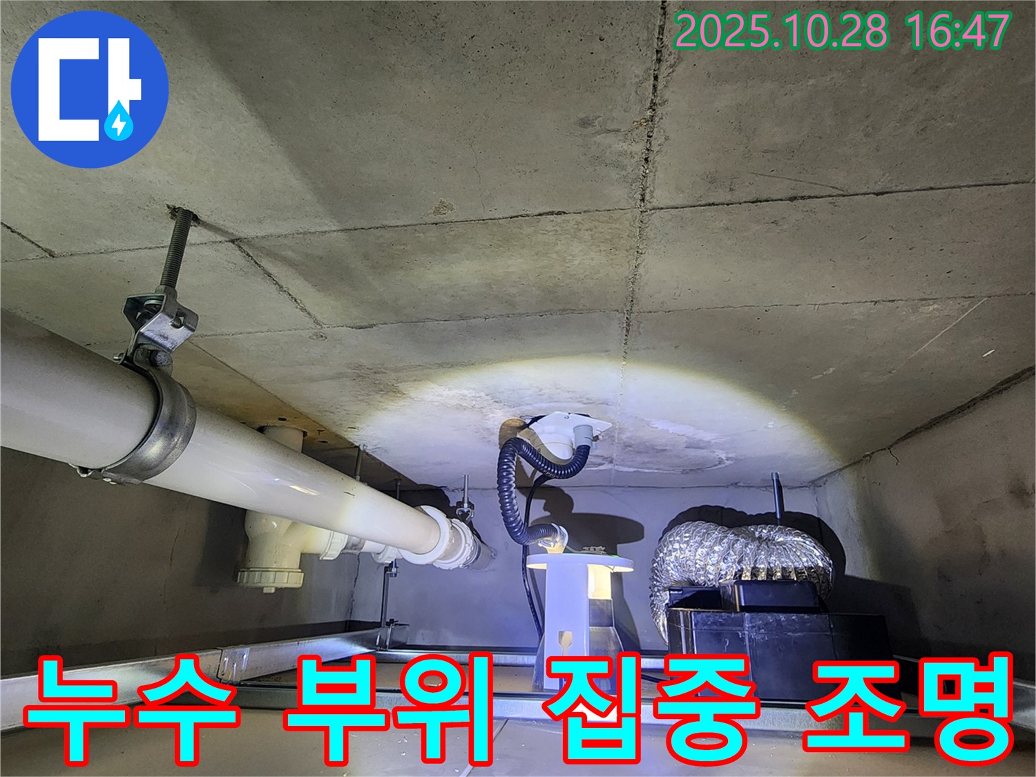 양주 유양동 누수 - 윗집 화장실 누수 부위를 집중적으로 조명