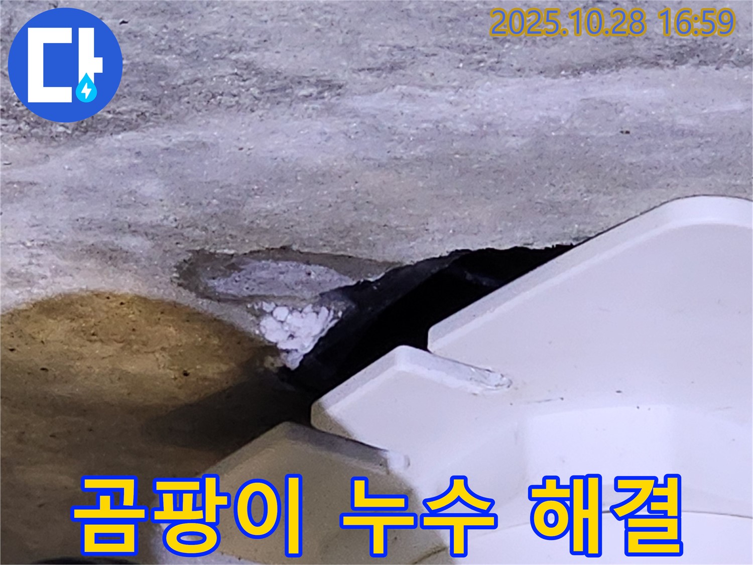 양주 유양동 누수 - 하얀 곰팡이가 보이는 누수 문제, 더 이상 고민하지 마시고 전문가에게 맡겨주세요.
