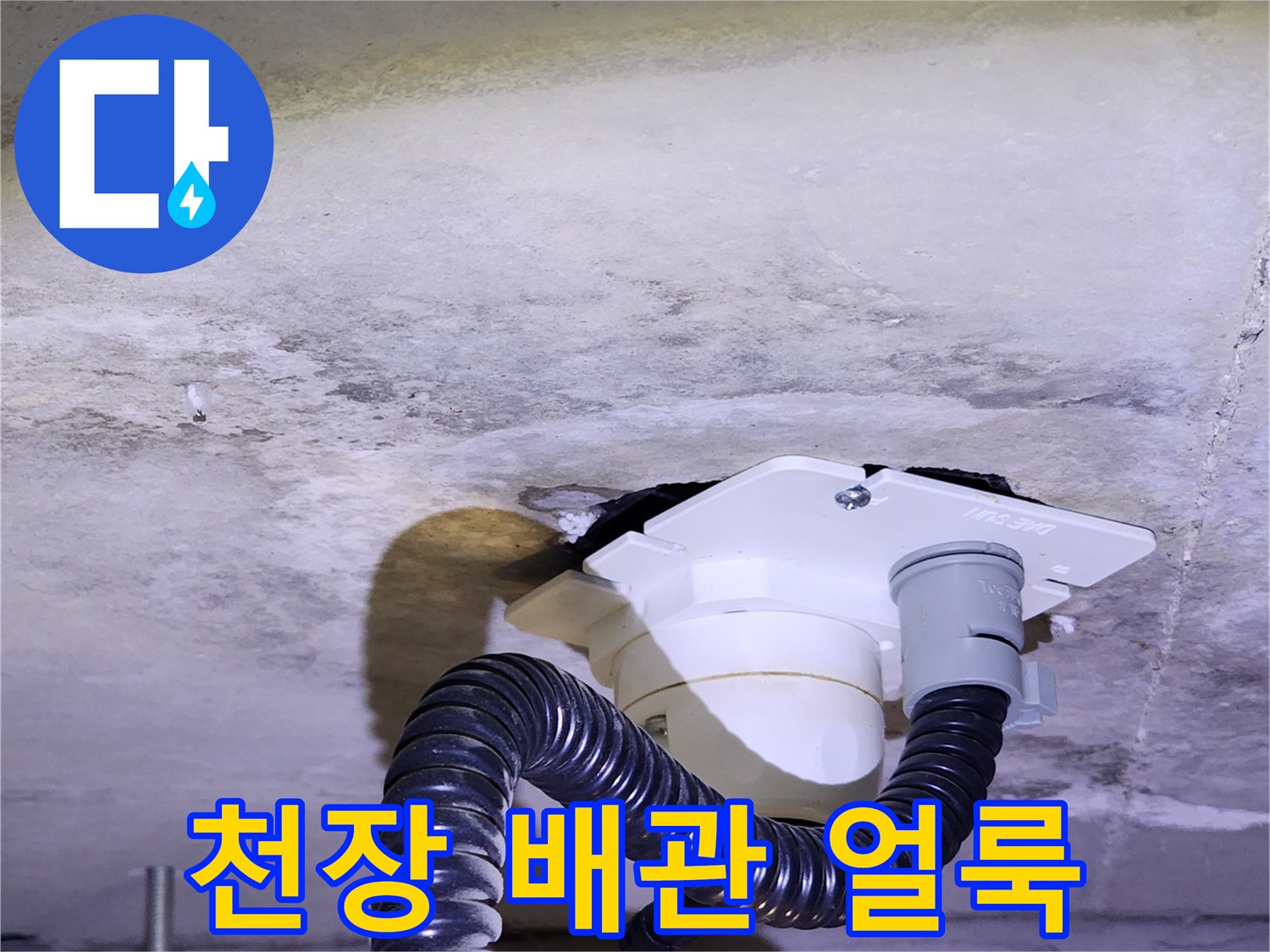 양주시 유양동-아래층 천장 배관 주변의 습기 및 얼룩 상태