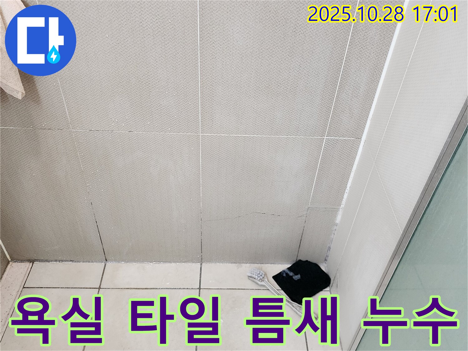 양주시 유양동 욕실 누수 현장 - 타일 틈새 백시멘트 손상으로 인한 누수 발생 지점 확인