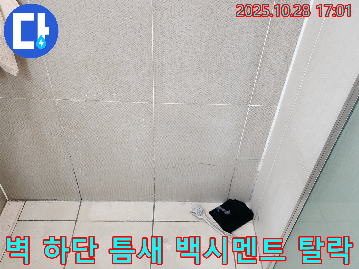 양주시 유양동 욕실 벽 하단 타일 틈새 백시멘트 탈락 - 누수 진행 중 - 백시멘트 재시공 시급