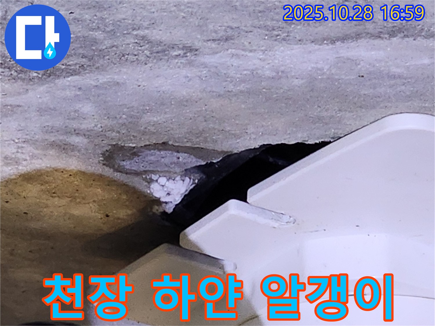 양주시 유양동 천장 누수 - 천장 구멍 속 하얀 알갱이, 누수 원인을 꼼꼼히 진단합니다.