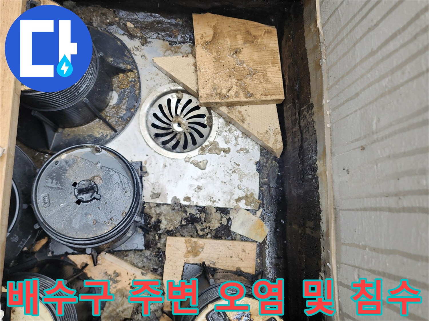 배수-캡-주변에-고여있는-검은색-슬러지와-물