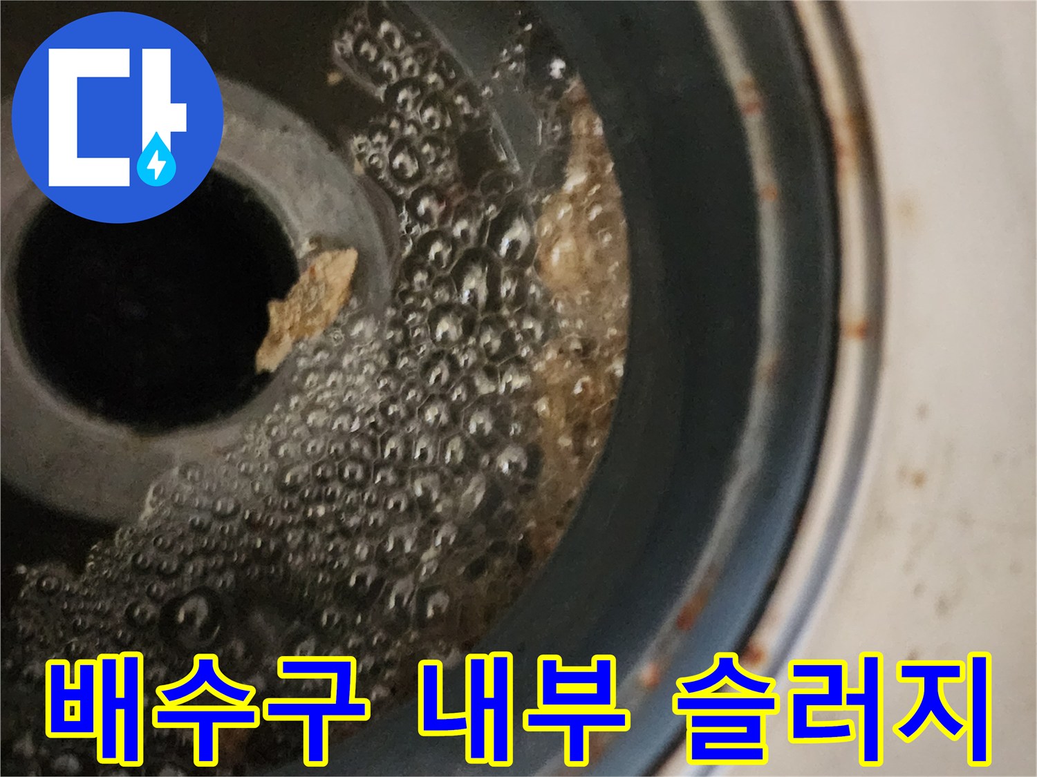 배수구-안쪽의-고인물과-배수관-찌꺼기