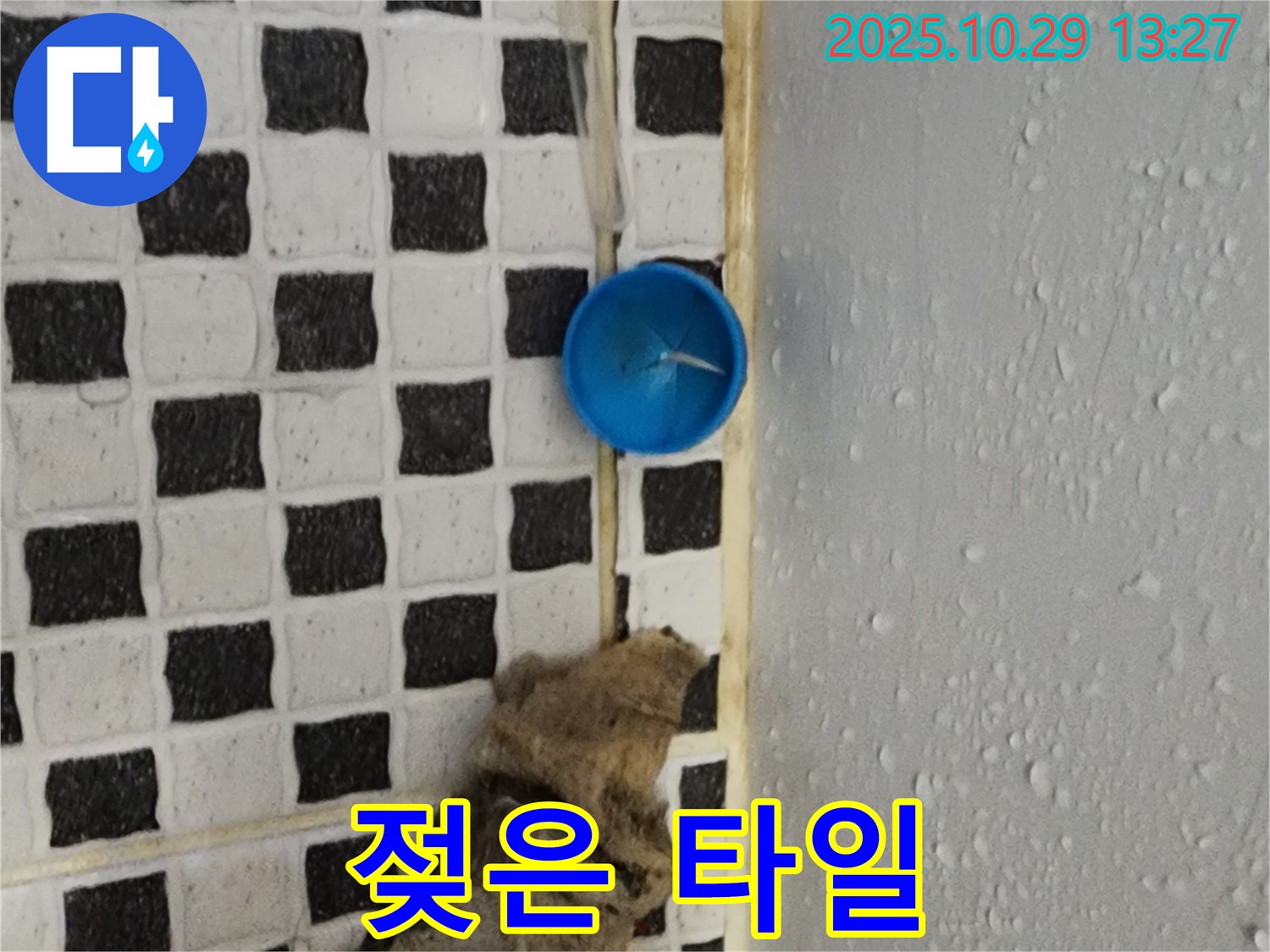 양주시 산북동 누수 - 젖은 타일, 곰팡이 번식 위험 증가!