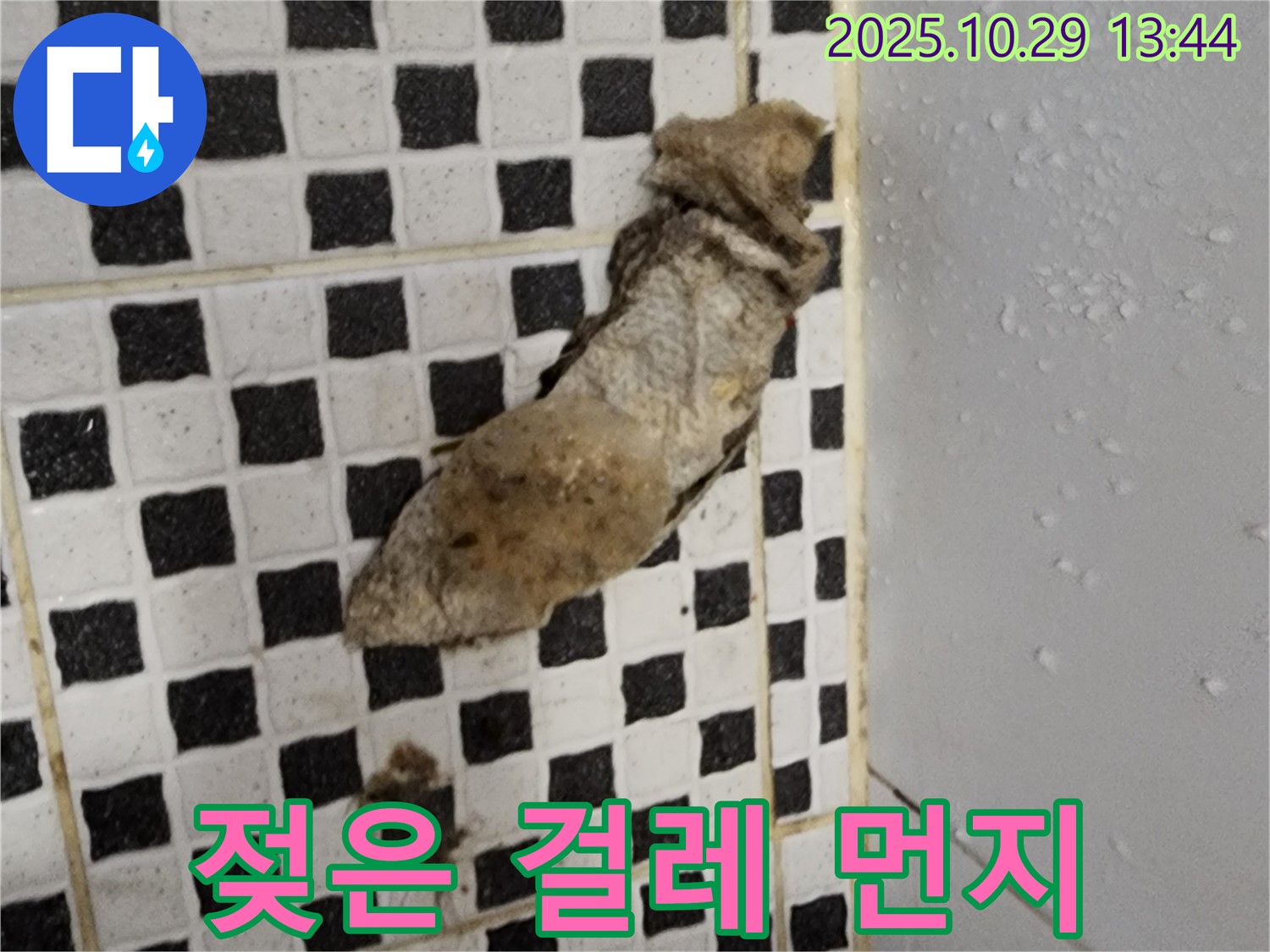 양주시 산북동 누수 현장 - 젖은 걸레와 먼지는 곰팡이 서식 최적 환경