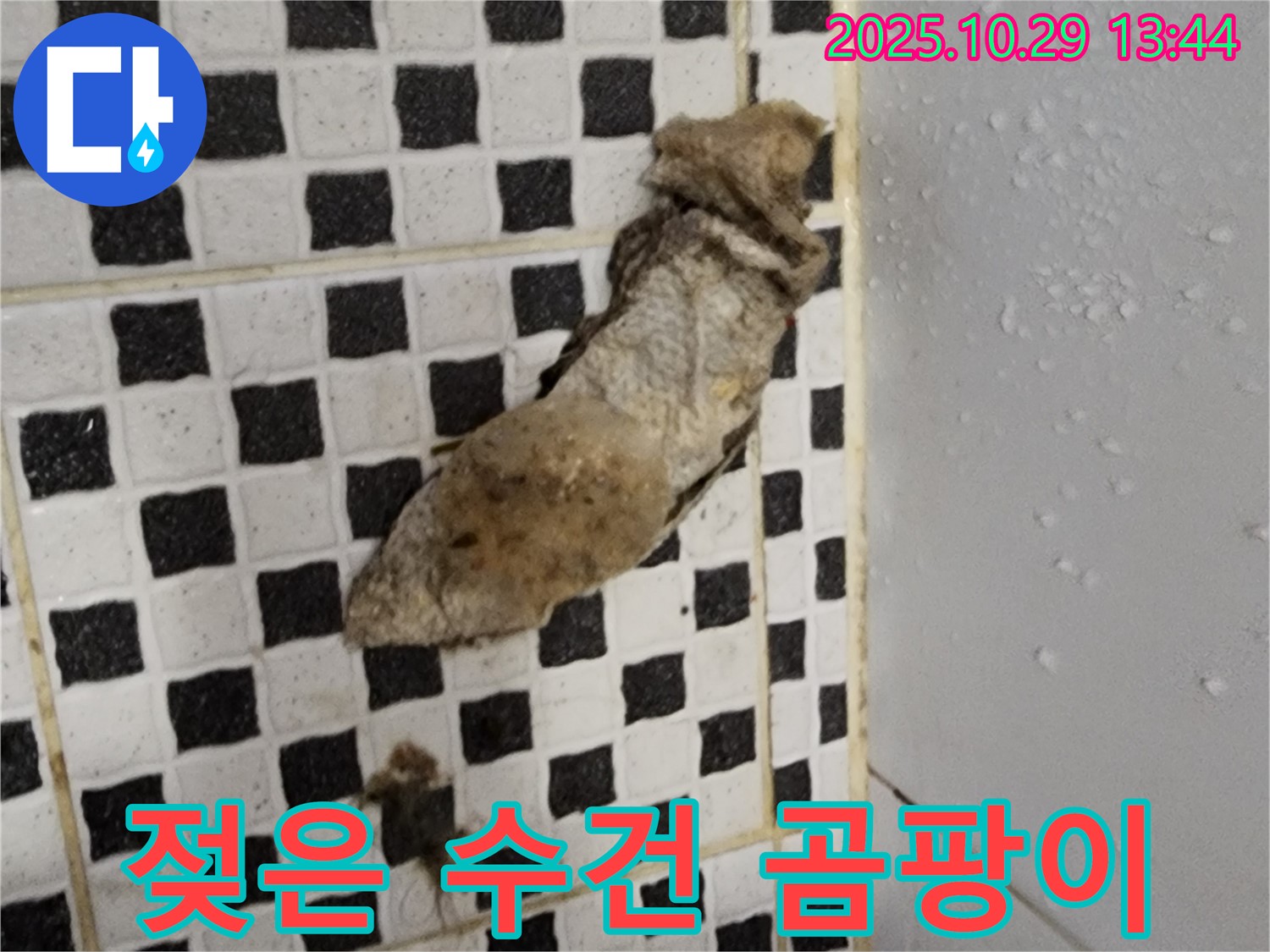 양주시 산북동 누수 현장 - 젖은 수건과 곰팡이 냄새, 건강 위협