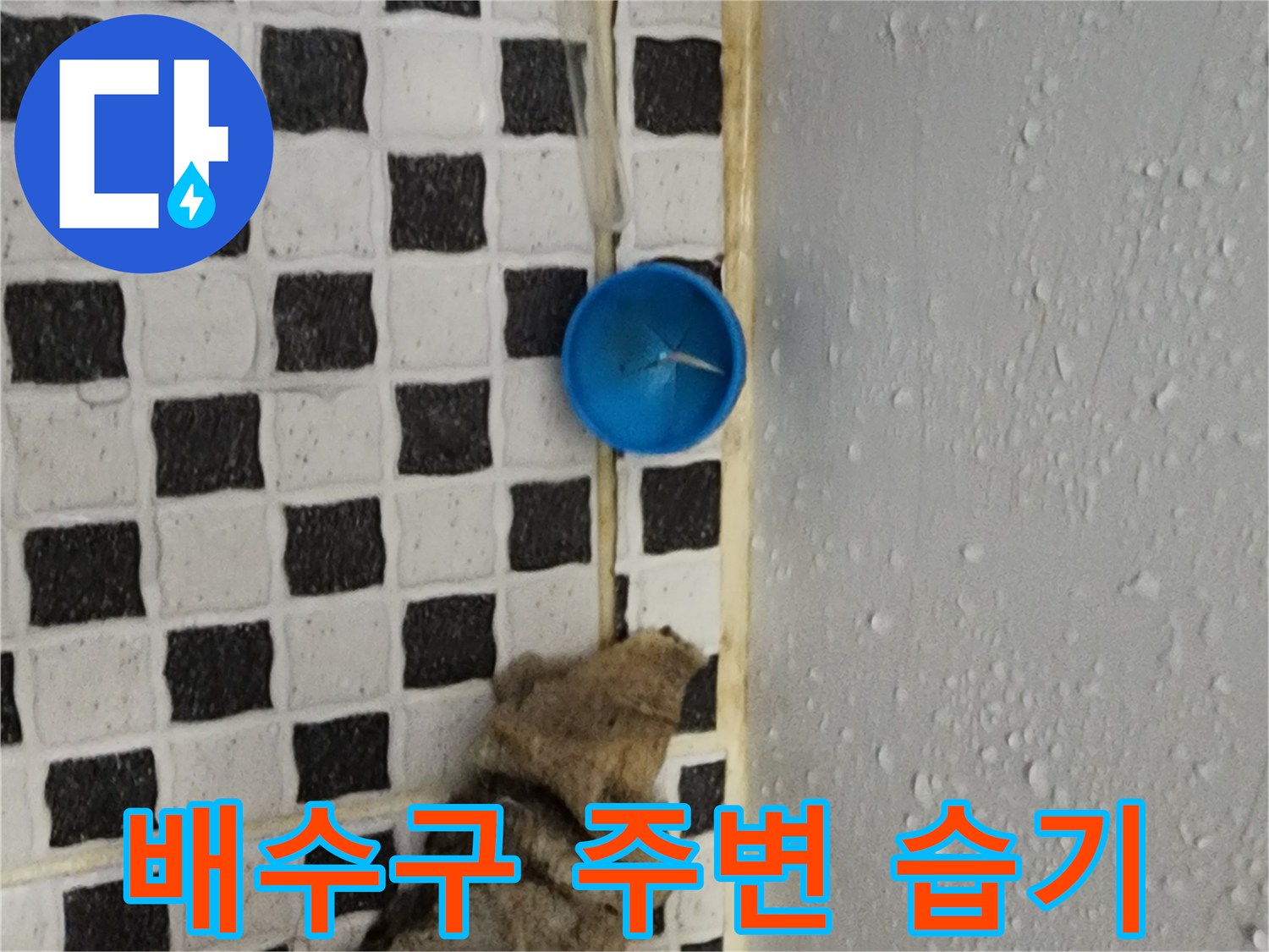 파란색-배수캡-주변-습기-및-오염-상태