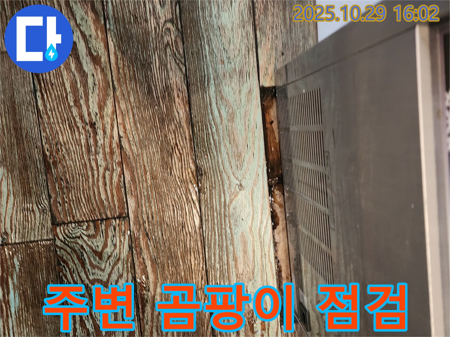 주택 누수 - 마루 곰팡이 집중 점검 - 마전동 주택 렌지후드 누수 해결과 함께 렌지후드 주변 마루 곰팡이 집중 점검을 실시했습니다.