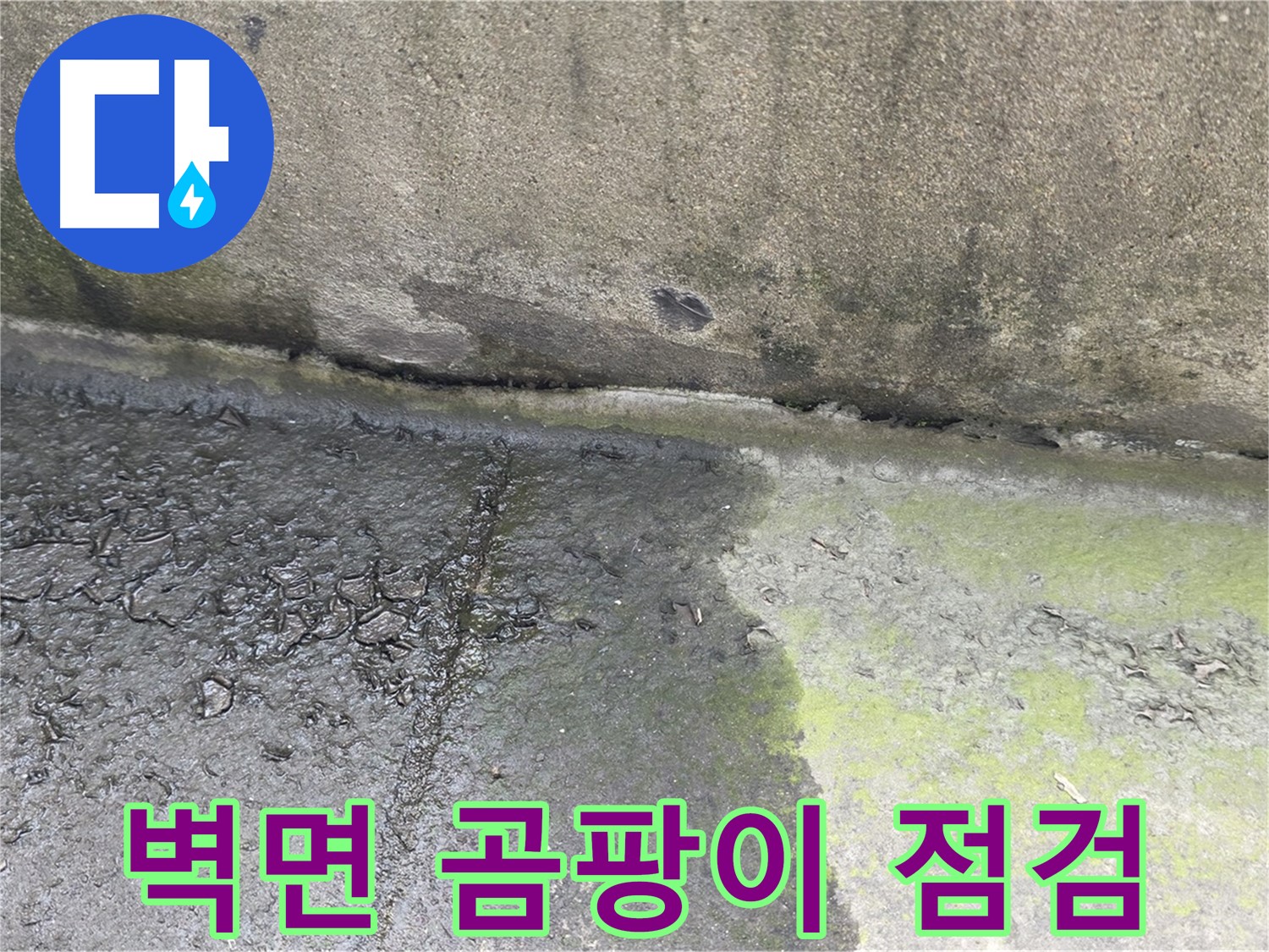 건물 벽면 방수 공사 전 곰팡이 점검 사진