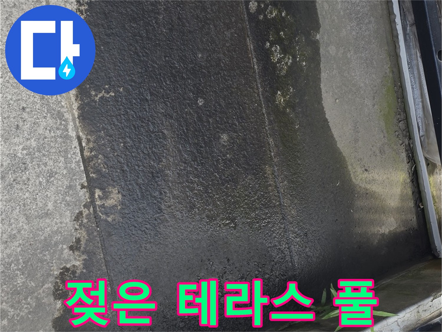 테라스 바닥 전체가 젖어있고 풀까지 - 심각한 누수 진행중