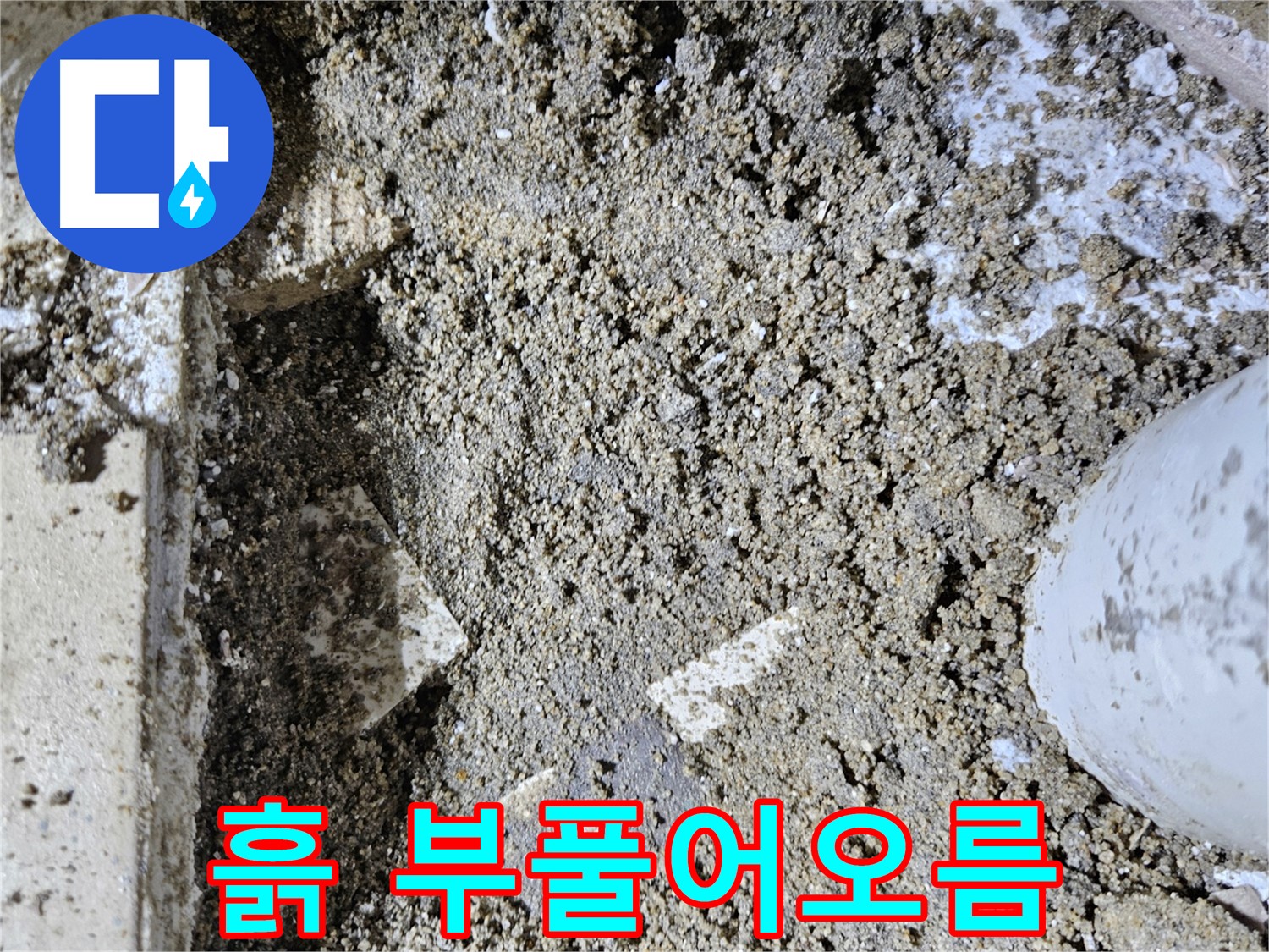 양평 용문면 어수리 누수 - 흙 부풀어오름 - 배관 손상 의심