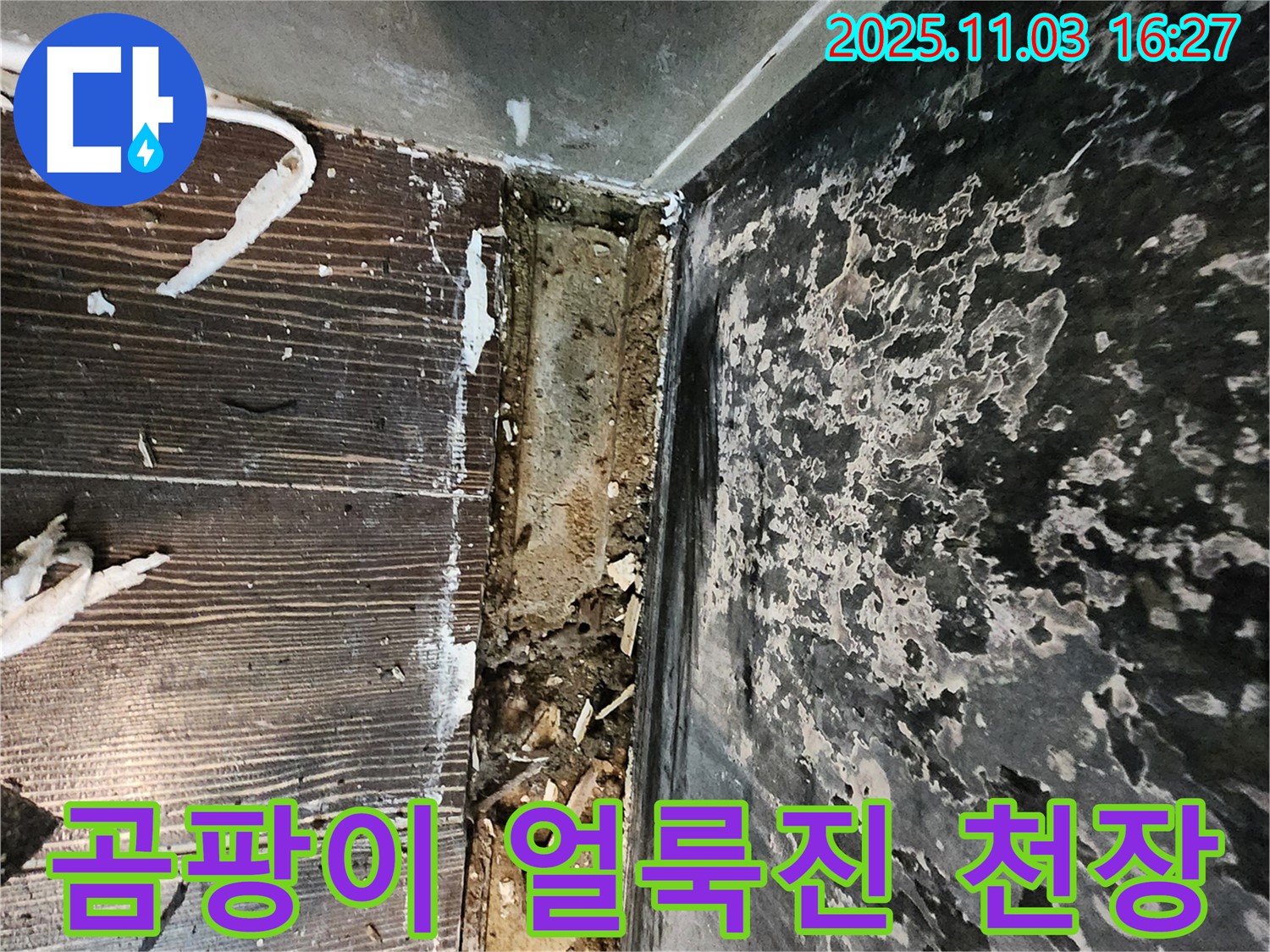 양주시 삼숭동 누수 - 곰팡이로 얼룩진 천장. 누수 해결과 함께 곰팡이 제거가 시급합니다.