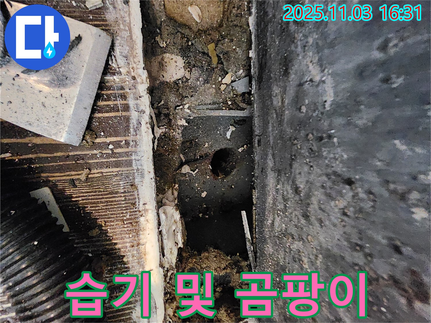 양주시 삼숭동 누수 현장 - 습기와 곰팡이가 누수 발생 지점을 알려주는 중요한 단서입니다.