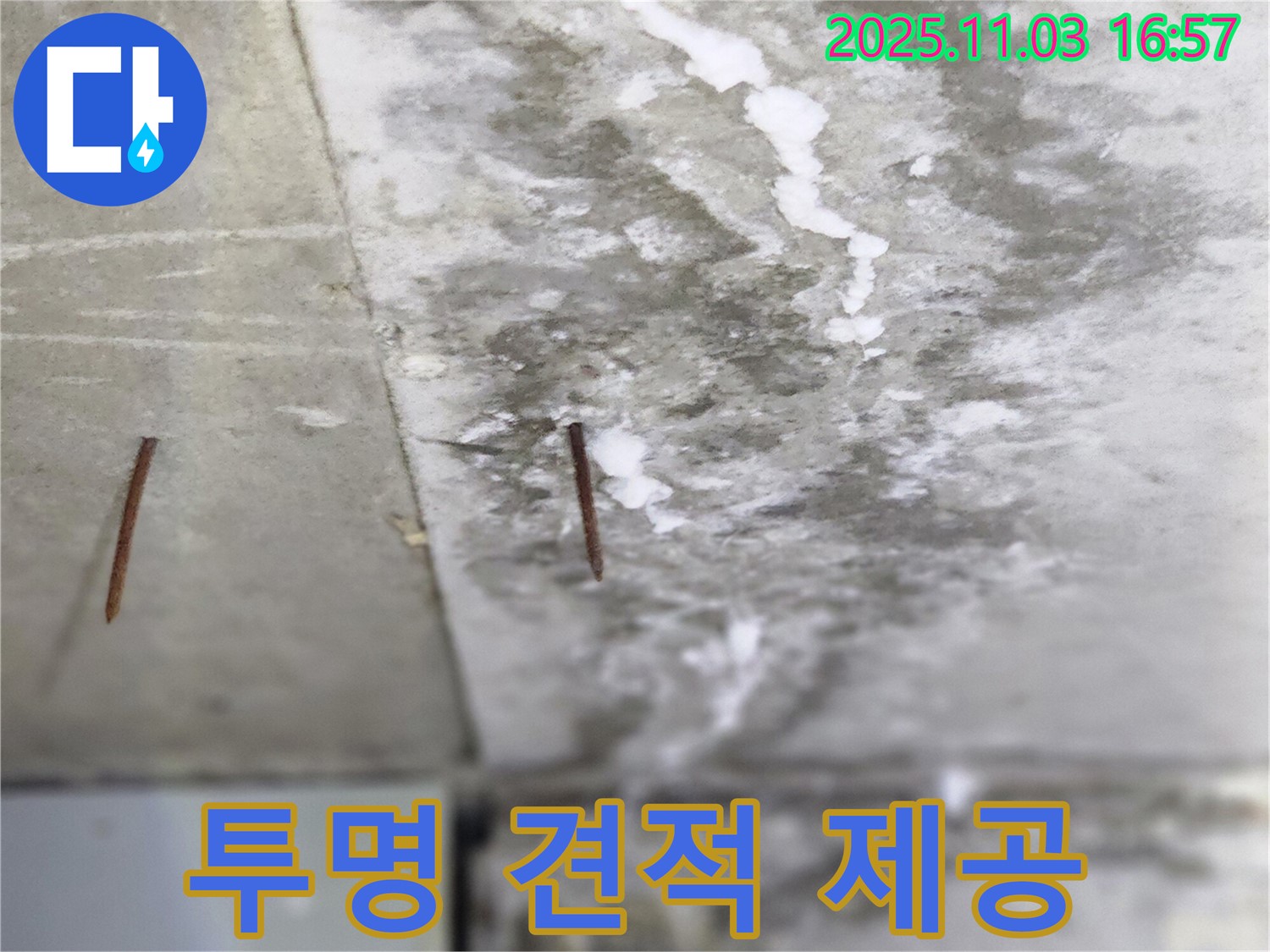 양주시 삼숭동 누수 현장 - 투명한 견적을 제공하여 고객님의 신뢰를 최우선으로 생각합니다.