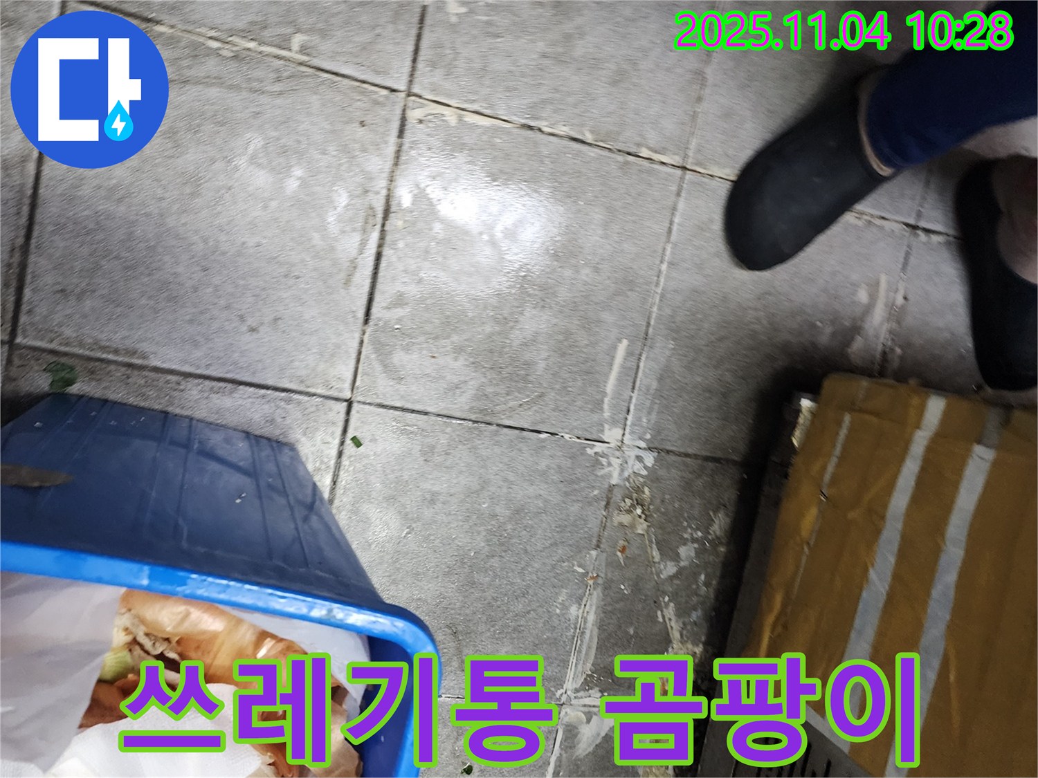 음식물 쓰레기통 주변의 곰팡이 - 누수로 인한 습한 환경은 곰팡이 번식에 최적의 조건입니다 - 건강에 해로울 수 있습니다.