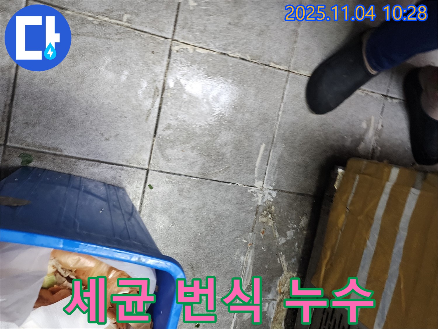 음식물 쓰레기통 주변의 세균 번식 - 누수로 인한 습한 환경은 세균 번식에 최적의 조건입니다 - 위생 관리가 중요합니다.