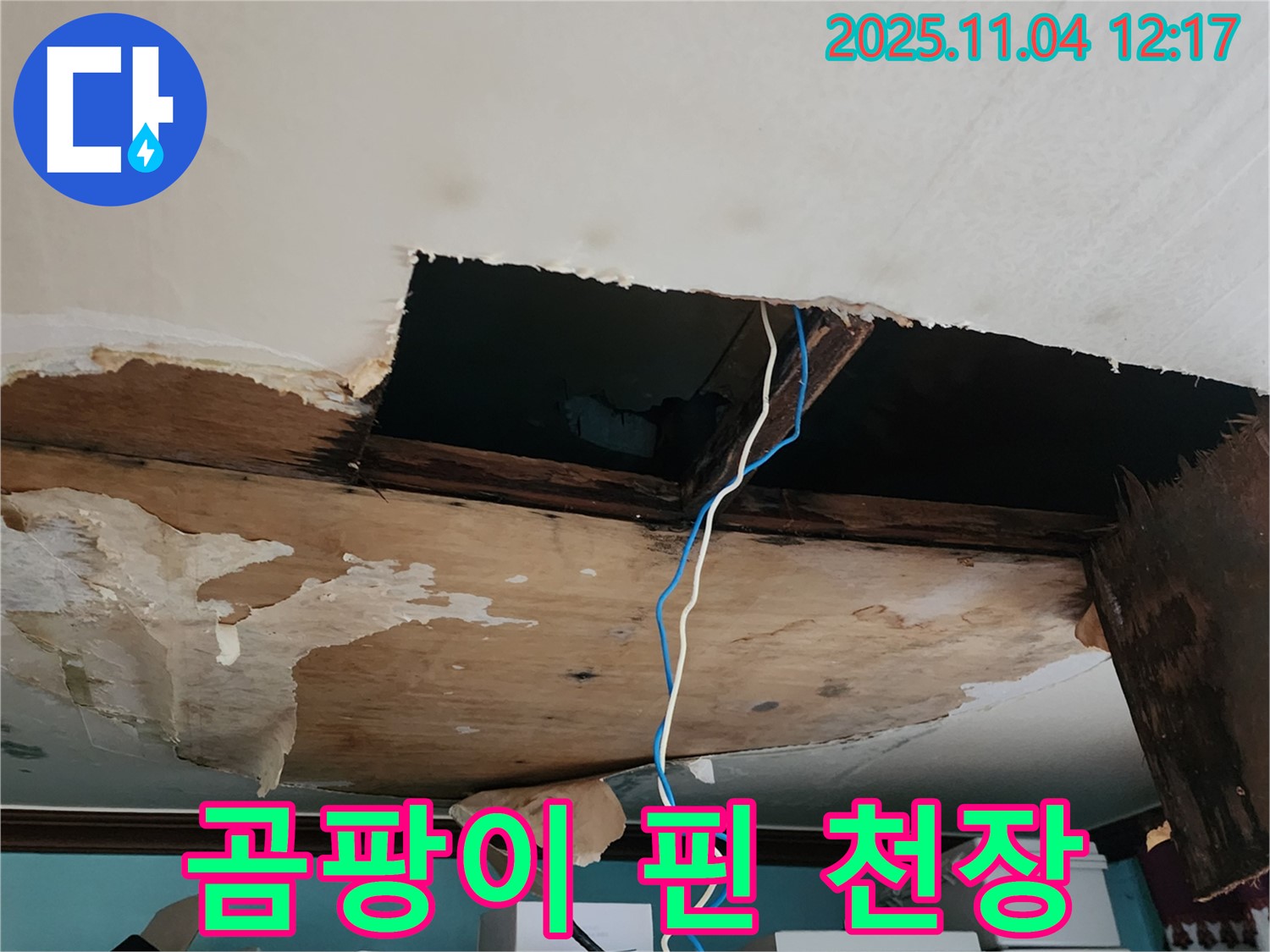 포천 소흘읍 천장 누수 - 곰팡이가 심하게 핀 썩은 천장