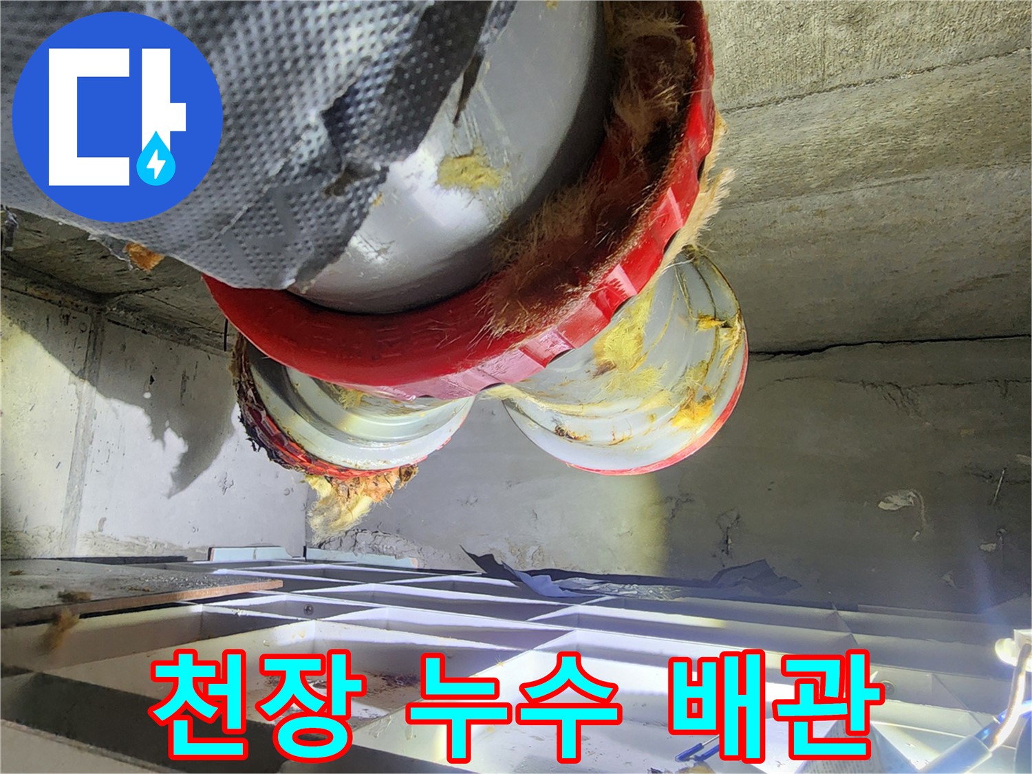 시흥시 장곡동 숲속마을 천장 누수 - 노후 배관과 부식된 보온재