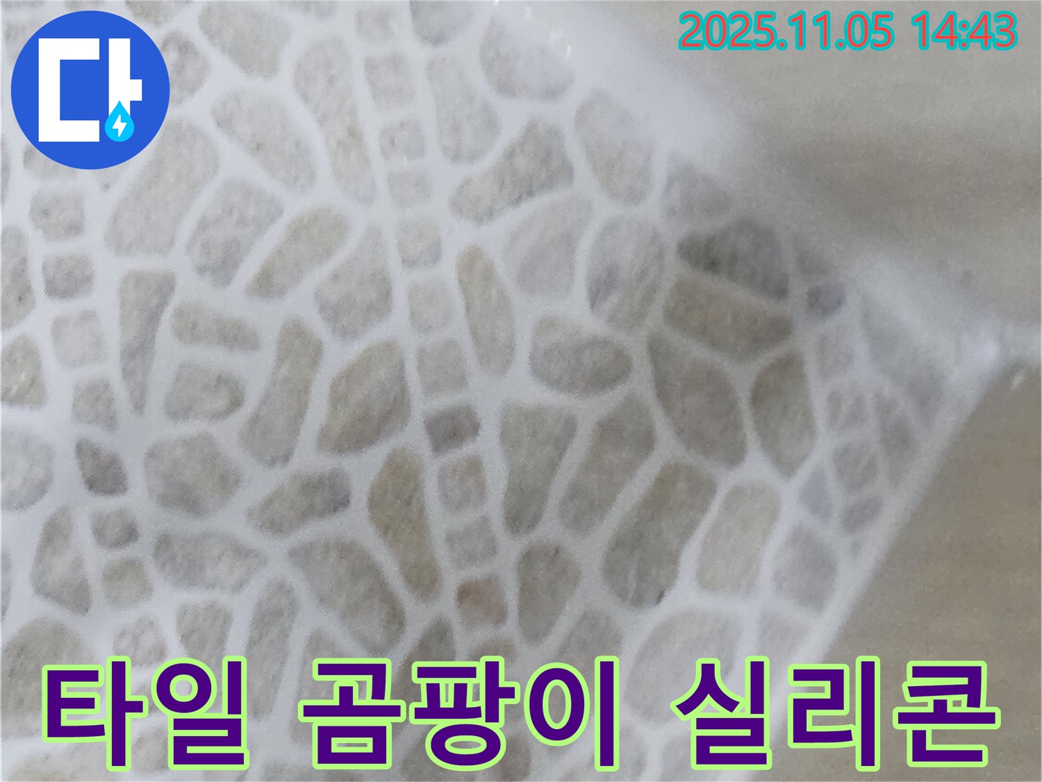화장실 타일 사이 곰팡이 - 누수 의심! 실리콘 점검으로 문제 해결 - 건강하고 쾌적한 욕실 유지