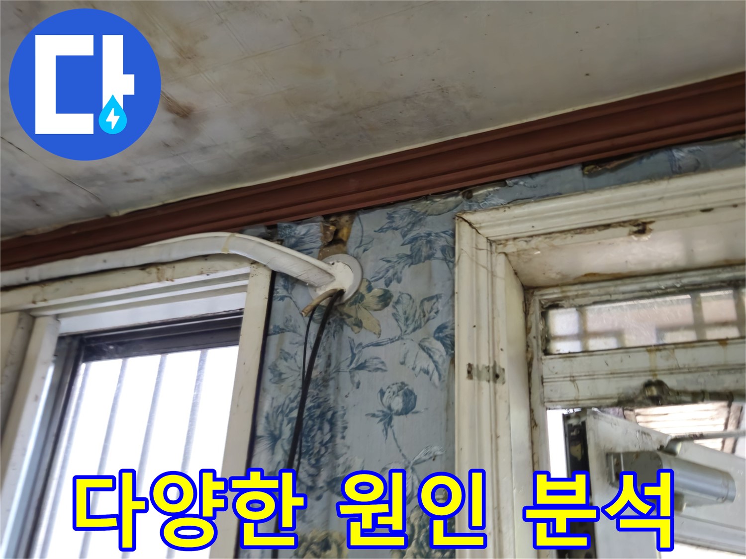 다양한 누수 원인 분석 및 맞춤형 해결책 제시 - 어떤 누수든 해결