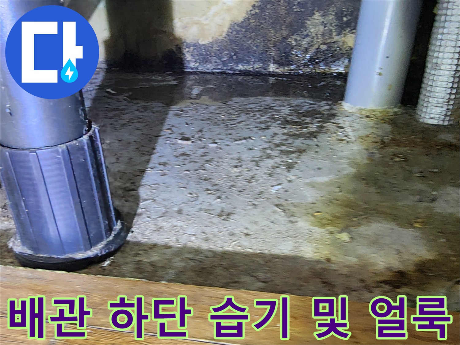 배관-주변-바닥의-습윤한-상태와-오염물질